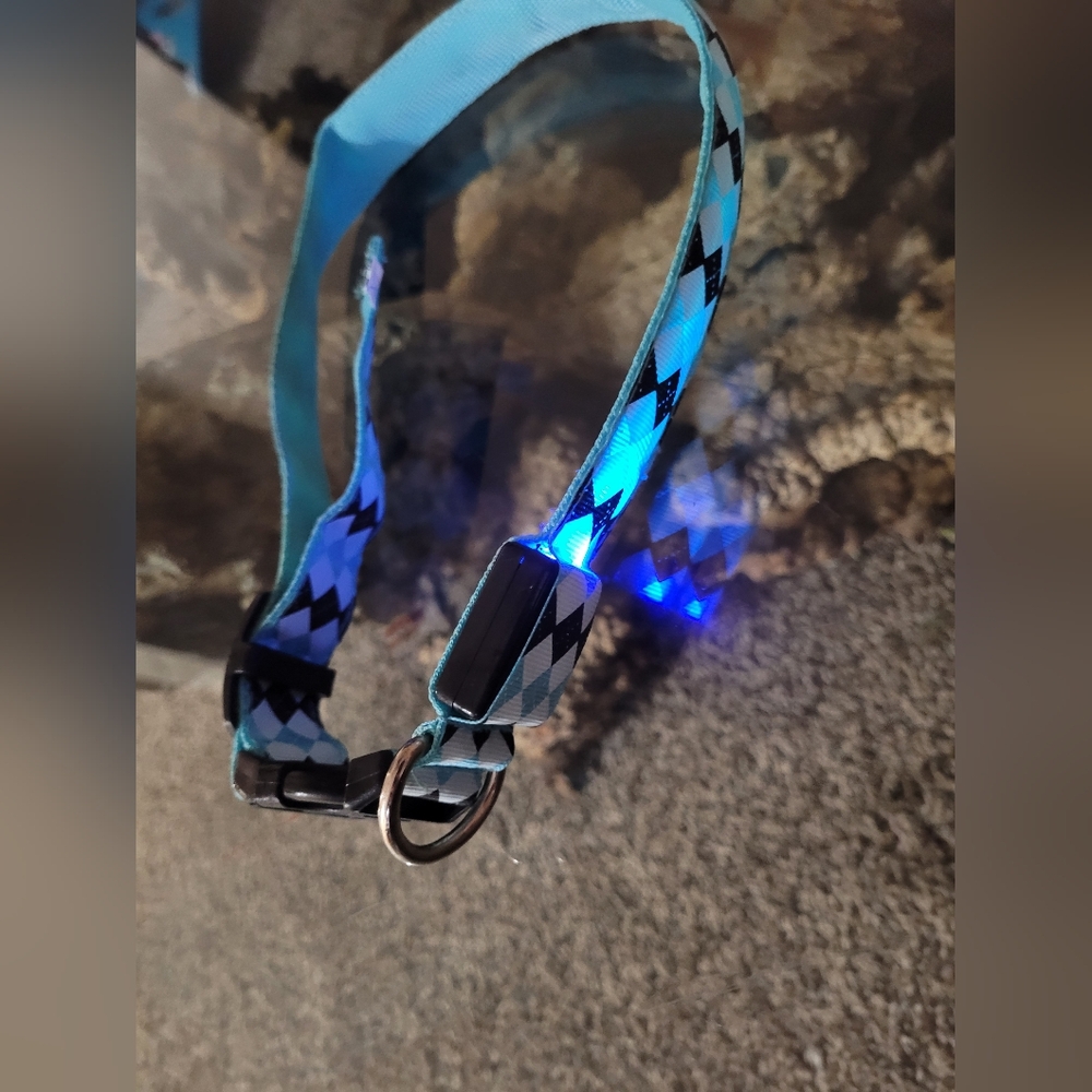 Xl Dog Coller Checkerd Light